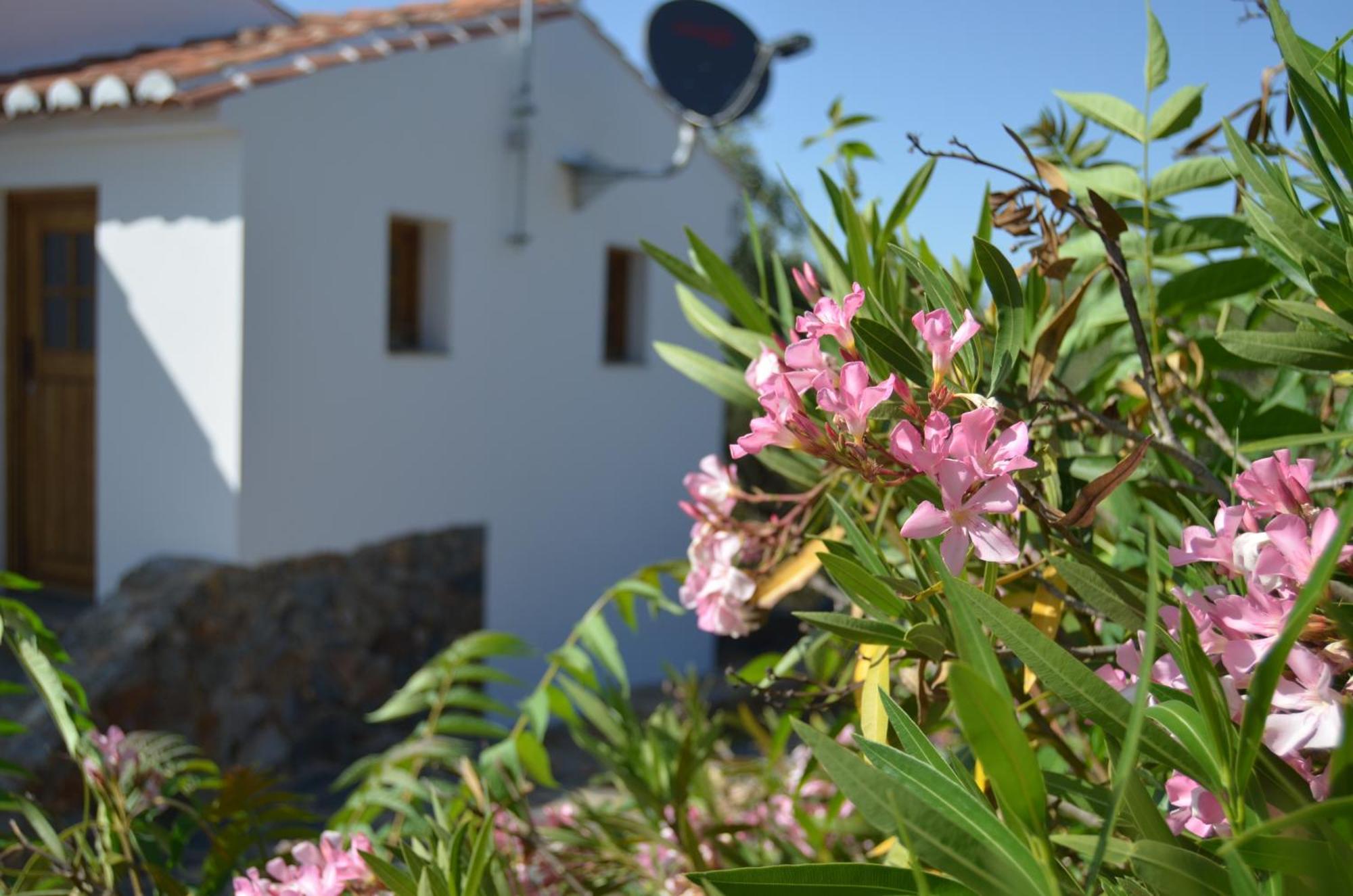 Casa Do Passaro Galegos (Portalegre) Exterior foto